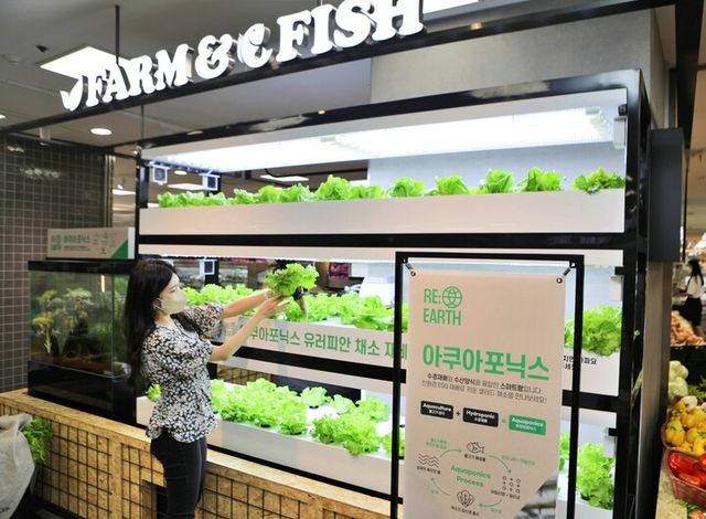 [사진=롯데마트]