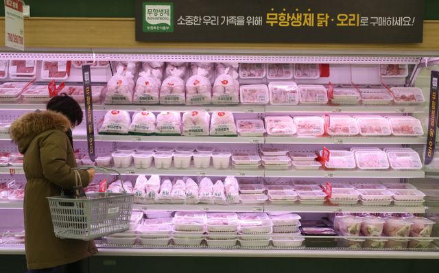 지난 2023년 1인당 계육 소비량은 15.7kg으로 우육보다 1kg 높은 것으로 나타났다. [사진=연합뉴스]