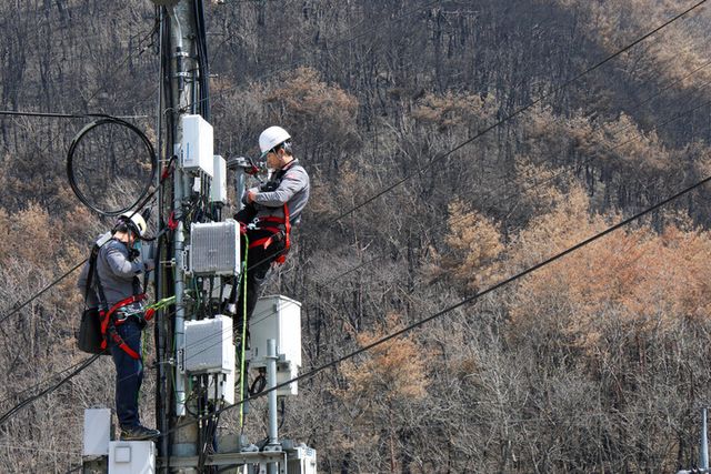 KT가 최근 경북 지역에서 발생한 초대형 산불로 피해를 본 통신시설에 대한 긴급 복구를 완료했다. [사진=KT]