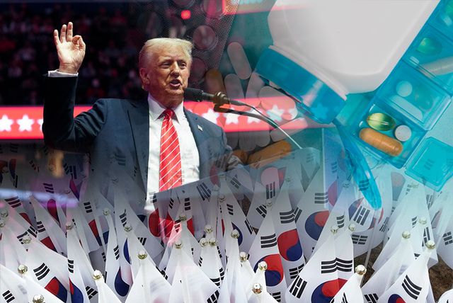 [사진=픽사베이·프리픽, 그래픽=이승준 기자]