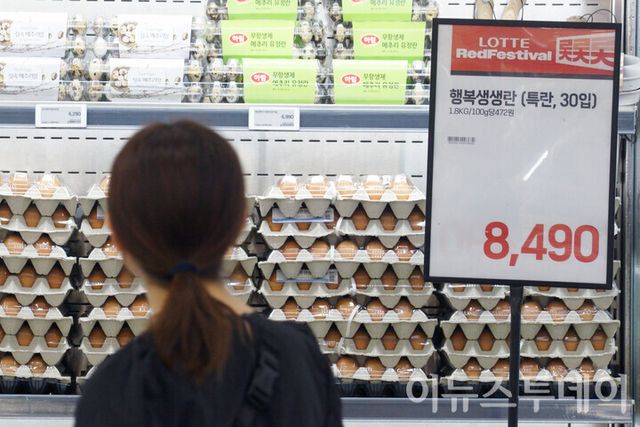 서울 중구 롯데마트 제타플렉스 서울역점에서 한 고객이 계란이 진열된 매대 앞에서 상품을 고르고 있다. [사진=이뉴스투데이DB]