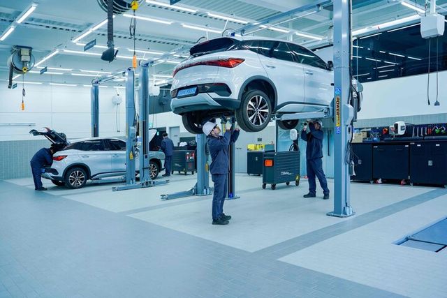 [사진=BYD코리아]