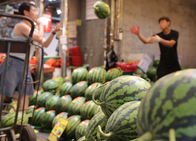 [사진=연합뉴스]