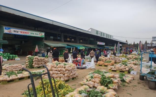 삼산농산물도매시장(무․배추 경매장). [사진=인천시]