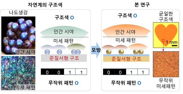 준질서형 구조를 통한 구조색. [사진=GIST]&nbsp;