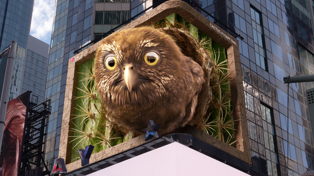 LG전자가 미국&nbsp;뉴욕 타임스스퀘어 전광판에 '피그미 올빼미'를 주제로 한&nbsp;7번째 ‘LG와 함께하는 위기 동물 보호 캠페인’ 영상을 공개했다. [사진=LG전자]