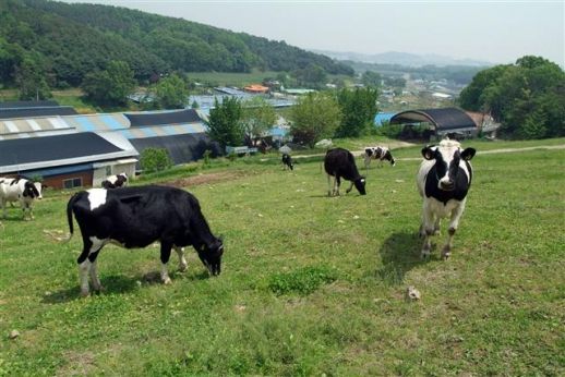 [사진=서울우유협동조합]