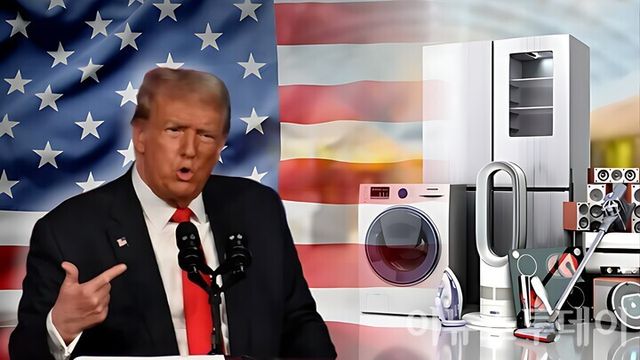 [사진=셔터스톡, 그래픽=김진영 기자]