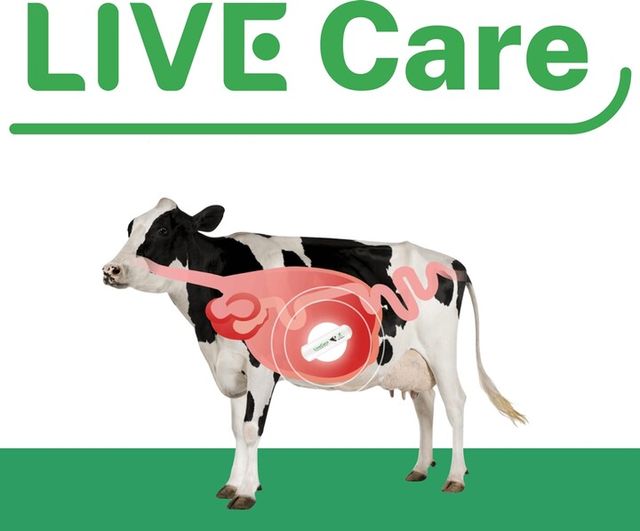 유라이크코리아가 미국 특허청으로부터 ‘가속도 센서를 이용한 가축 행동 분석 시스템 및 방법’에 대한 특허를 취득했다. [사진=유라이크코리아]