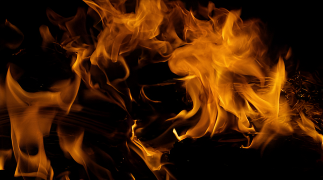 본 이미지는 기사와 상관 없습니다. [사진=아이스톡포토]