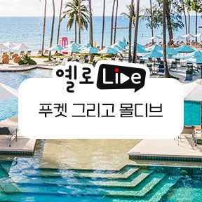 [사진=노랑풍선]