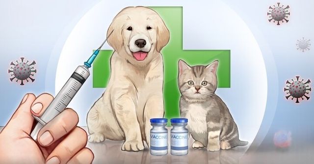 국내 제약사들의 시선이 반려동물 시장으로 모이고 있다. 업계에서는 이를 단순한 ‘펫 신사업’이 아닌 개발 구조 변화의 연장선으로 보고 있다. [사진=연합뉴스]