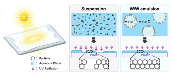 수계 분산액과 개발된 자외선 차단제(W/W 에멀젼) 모식도. [사진=코스메카코리아]