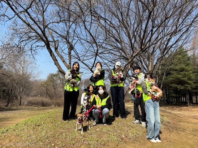 에쓰오일 직원들이&nbsp;유기견 봉사활동에 참여하고 있다. [사진=에쓰오일]