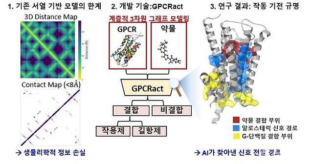 GPCRact 인공지능 모델의 약물 활성 예측 및 기전 해석 모식도. [사진=카이스트.