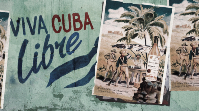 [사진=바카디코리아]