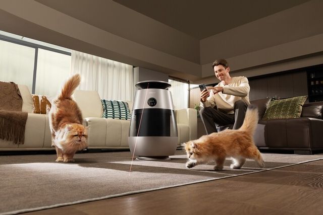 드리미가&nbsp;‘더현대&nbsp;펫페어&nbsp;팝플래닛&nbsp;in&nbsp;판교’서&nbsp;‘스마트&nbsp;에어&nbsp;케어&nbsp;콜렉션’을&nbsp;국내&nbsp;공식&nbsp;론칭한다. [사진=드리미]