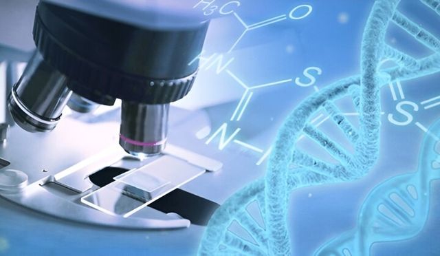 정식 공시는 뒤로 미루고 보도자료로 ‘기대’를 먼저 키운 뒤 주가가 반응하는 구조가 반복되면서 제약·바이오 시장의 신뢰 기반이 흔들리고 있다. [사진=연합뉴스]