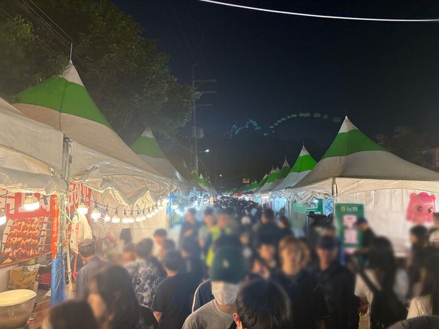 관광객으로 가득 찬 단양 소백산철쭉제. [사진=단양군]
