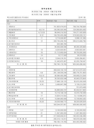 폭스바겐코리아 제22기(2025년) 감사보고서. [사진=전자공시시스템 갈무리]