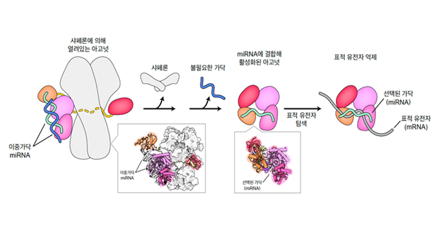 [사진=과학기술정보통신부]