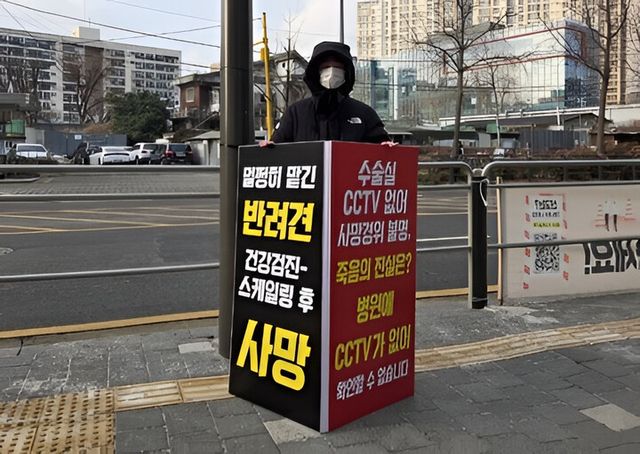 멜로디 보호자와 지인들이 지난 2월부터 해당 동물병원 앞에서 진상 규명과 동물병원 CCTV 설치 의무화를 요구하는 1인 시위를 이어가고 있다. [사진=제보자]