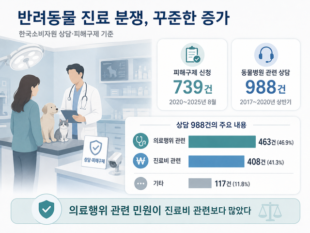 [그래픽=김진영 기자]