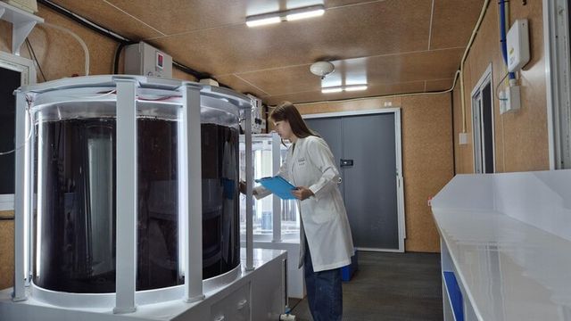 풀무원기술원 연구원이 바이오리엑터로 불리는 큰 수조 안에서 재배되고 있는 육상 양식 김을 연구하고 있다. [사진=풀무원]