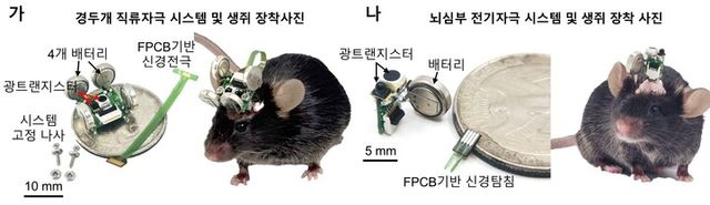 초경량 무선 신경조절 플랫폼 [사진=한국연구재단]