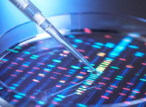 식품의약품안전처 식품의약품안전평가원은 유럽의약품청(EMA)이 주관하는 유전자재조합의약품 품목변경허가 심사에 공동으로 참여한다(사진=클립아트코리아).