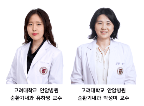 고려대안암병원 유하영·박성미 교수팀이 흉통 환자의 운동부하심전도검사에서 나타난 성별 격차를 세계 최초로 밝혀냈다.