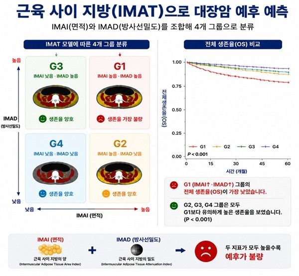 G1~G4&nbsp;그룹의&nbsp;전체생존율&nbsp;생존곡선. 면적과 밀도가 모두 높은 G1 그룹의 생존율이 가장 낮았으며, 다른 그룹에서는 생존율이 유의하게 향상됐다.&nbsp;