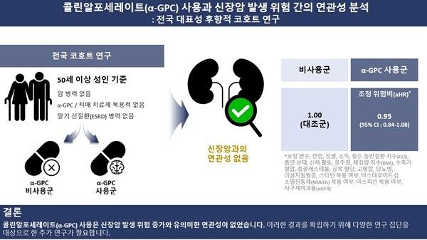 대한민국&nbsp;50세 이상 성인을 대상으로 한 전국 코호트 연구결과,&nbsp;콜린알포세레이트(α-GPC)&nbsp;사용은 신장암 발생 위험 증가와 유의미한 연관성이 없었다(보정 위험비: 0.95, 95%&nbsp;신뢰구간: 0.84–1.08).