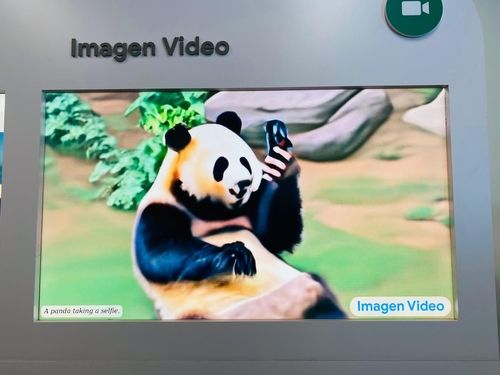 구글 인공지능이 만들어낸 '판다의 셀카' 동영상