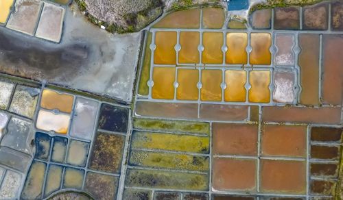 다양한 색상의 게랑드 염전 [사진/성연재 기자] 