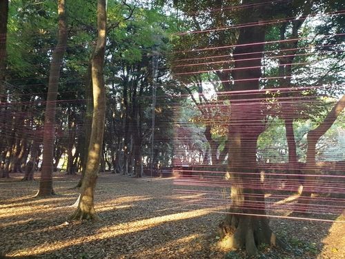 (제주=연합뉴스) 황희경 기자 = 제주 삼성혈에 설치된 신예선 작가의 '움직이는 정원'. 2022.11.28. zitrone@yna.co.kr