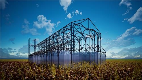 김기대 '바실리카'