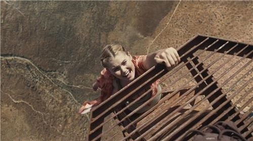 영화 '폴: 600미터'