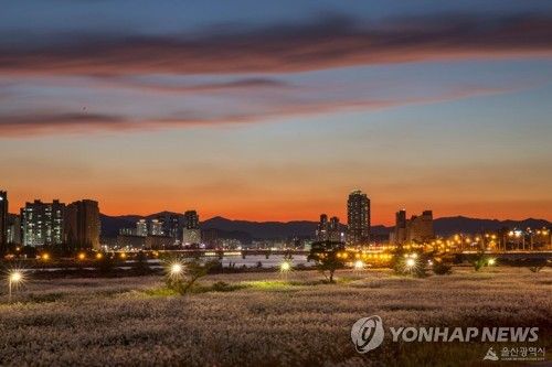 태화강 국가정원 전경