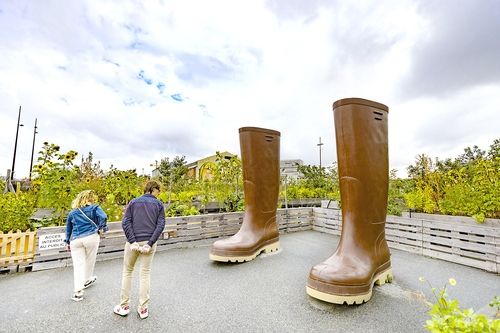 텃밭에서 재배한 유기농 농작물을 음식 재료로 활용한다. [사진/성연재 기자]