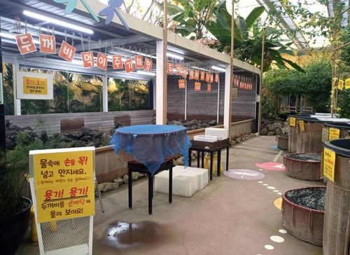 우포잠자리나라