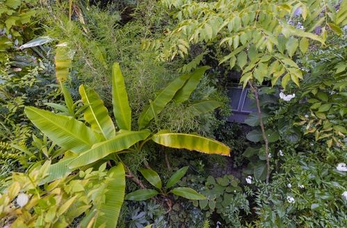 빌딩 숲 사이의 빈 곳을 활용해 만든 '정글 인테리어'