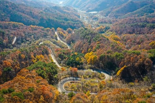 울긋불긋 물든 도마령