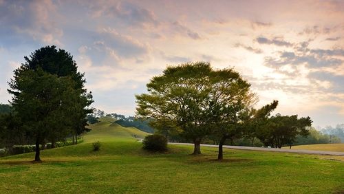 문체부 주관 열린관광지로 선정된 공주 무령왕릉