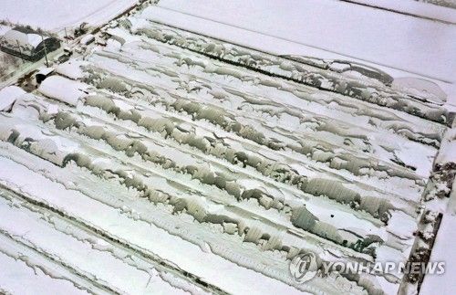 내려앉은 비닐하우스