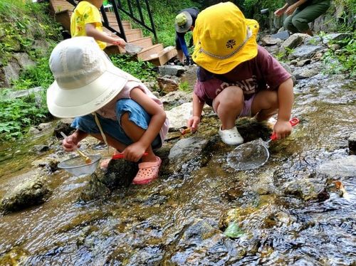 생태탐사하는 원생들