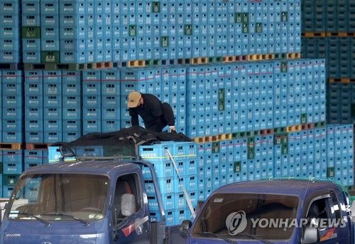 [연합뉴스 자료사진]