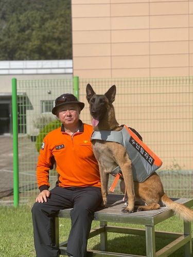 수난탐지견 '파도'