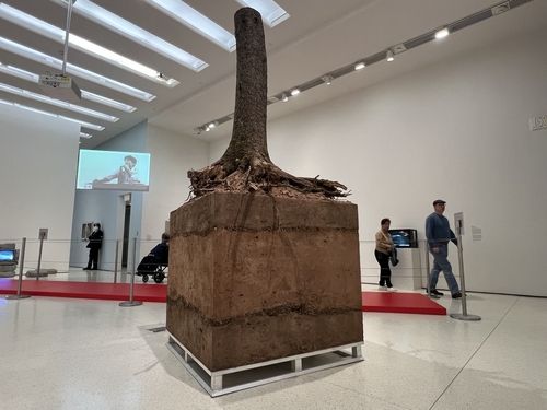 구겐하임 미술관에 전시된 이건용 작가의 1971년작 '신체항'(재제작)