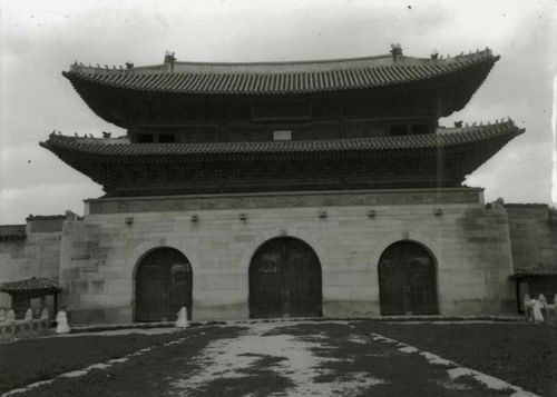 일본 도쿄(東京)대 촬영 사진 